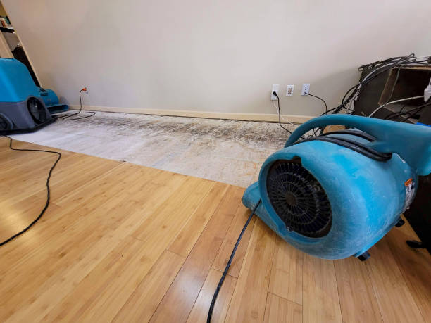 Professional Structural Drying technician working in La Porte, TX